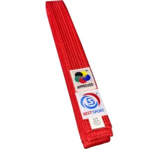 cinturon rojo 2 600x600 (convert.io)
