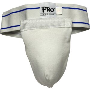 inguinal 2