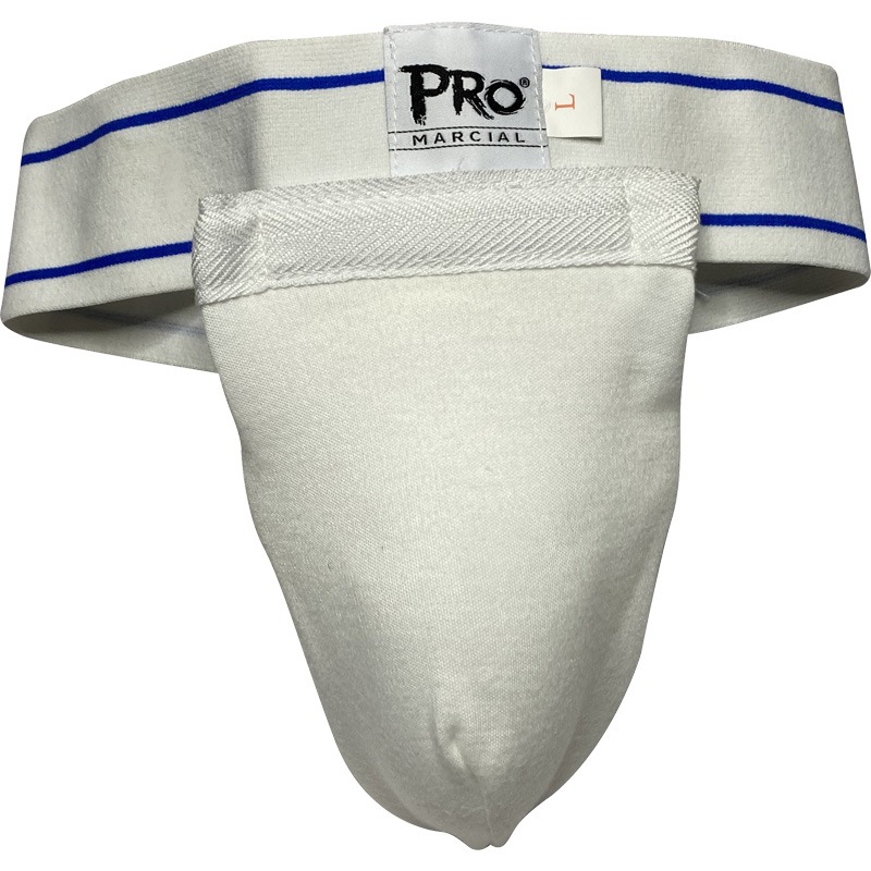 inguinal 2 inguinal 2