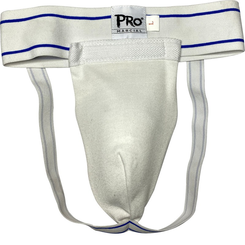 inguinal pro 1 inguinal pro 1