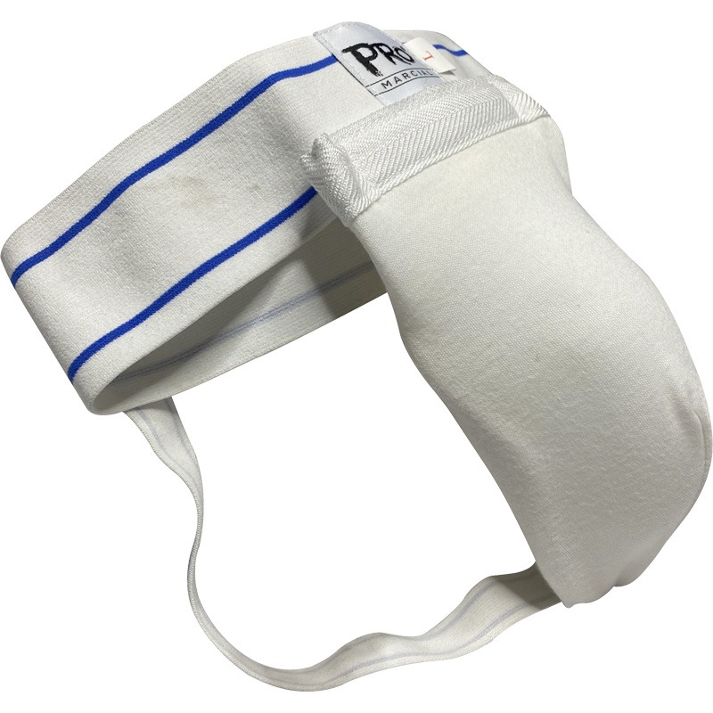 inguinal pro 3 inguinal pro 3