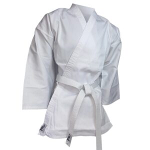 Inicio karategi pro 1